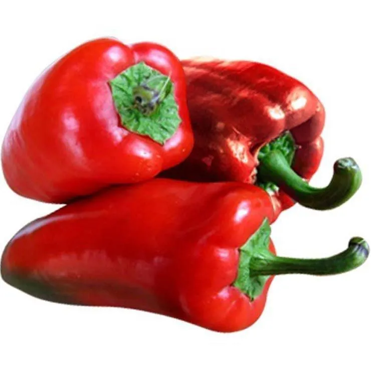 Bell Pepper