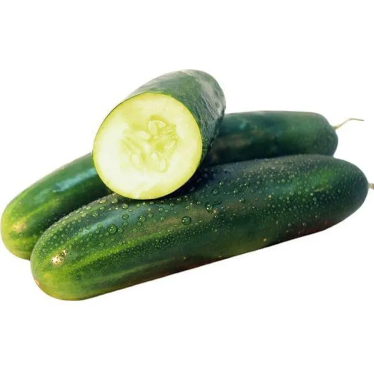 Cucumber