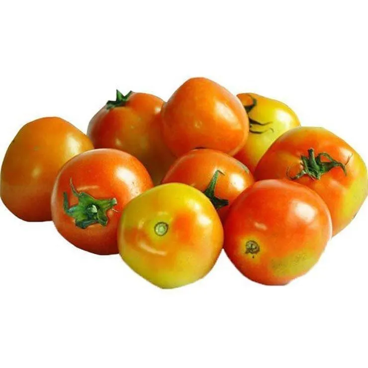 Tomatoes